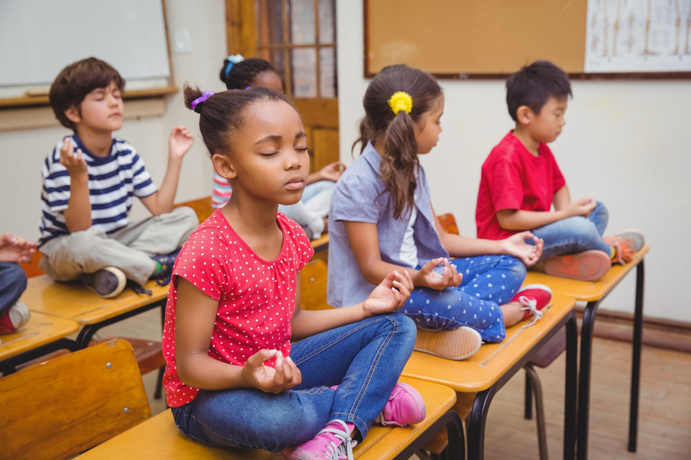 Education and Mindfulness