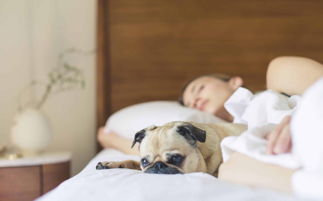 5 Tips for Achieving a Good Night’s Rest