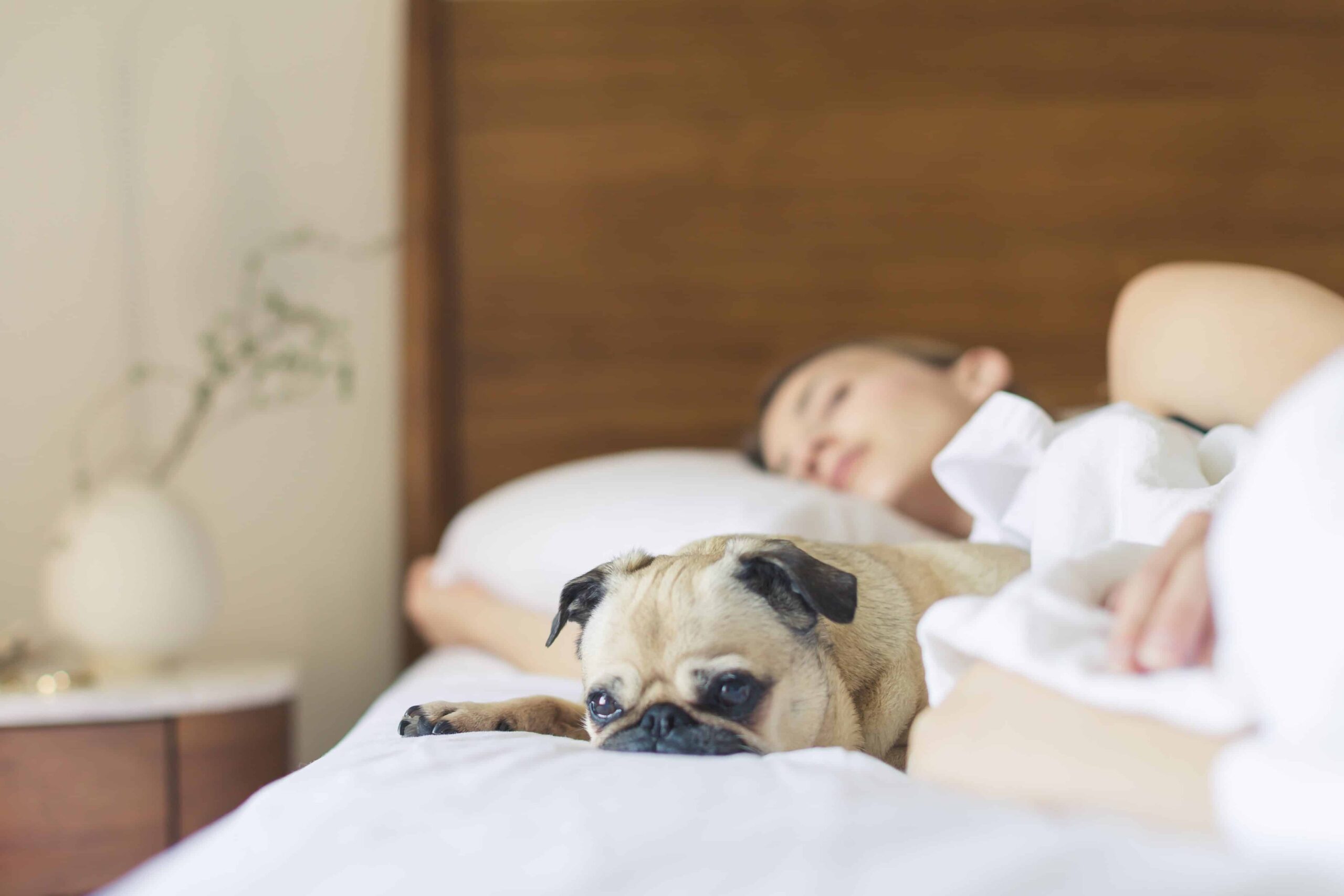 5 Tips for Achieving a Good Night’s Rest
