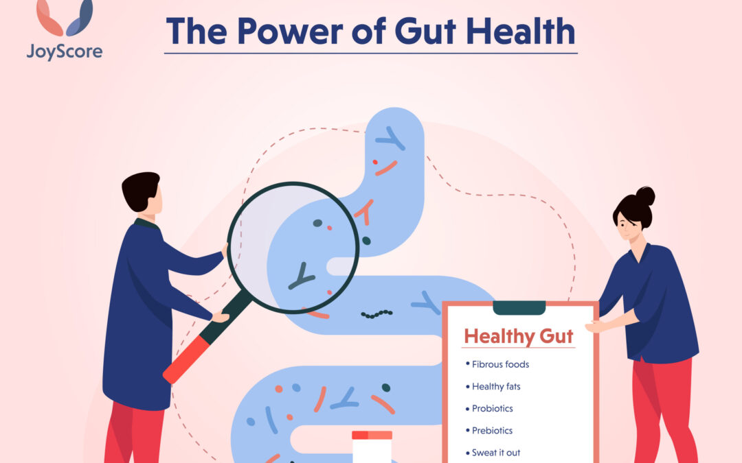 The Power of Gut Health-Everything You Wanted To Know