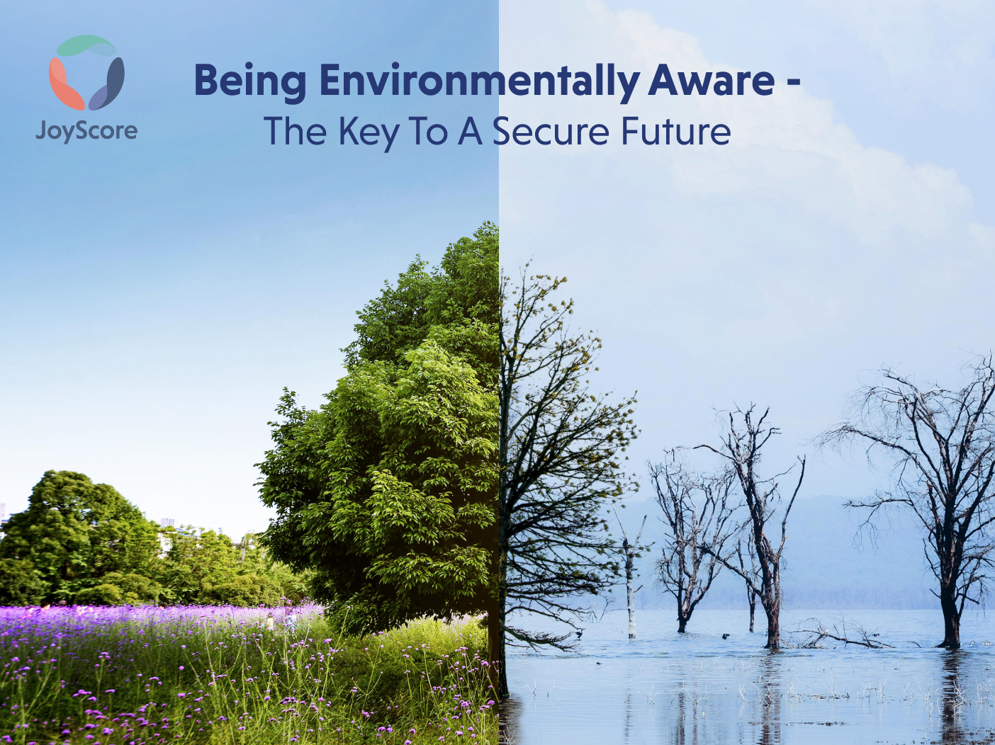 Being Environmentally Aware-The Key To A Secure Future