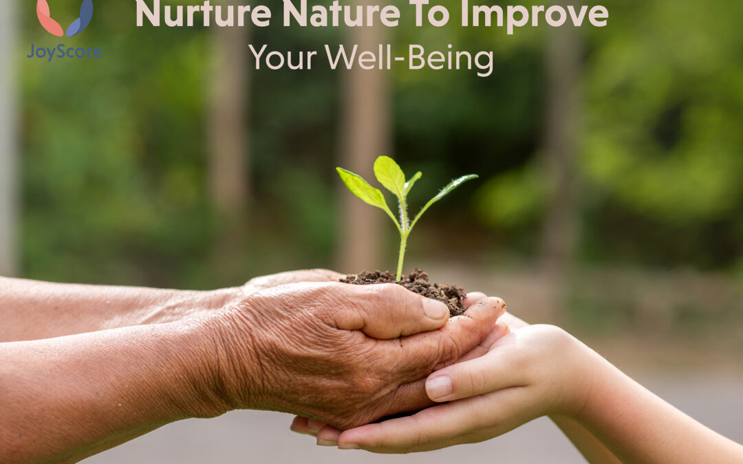 Nurture Nature to Improve your Well-Being