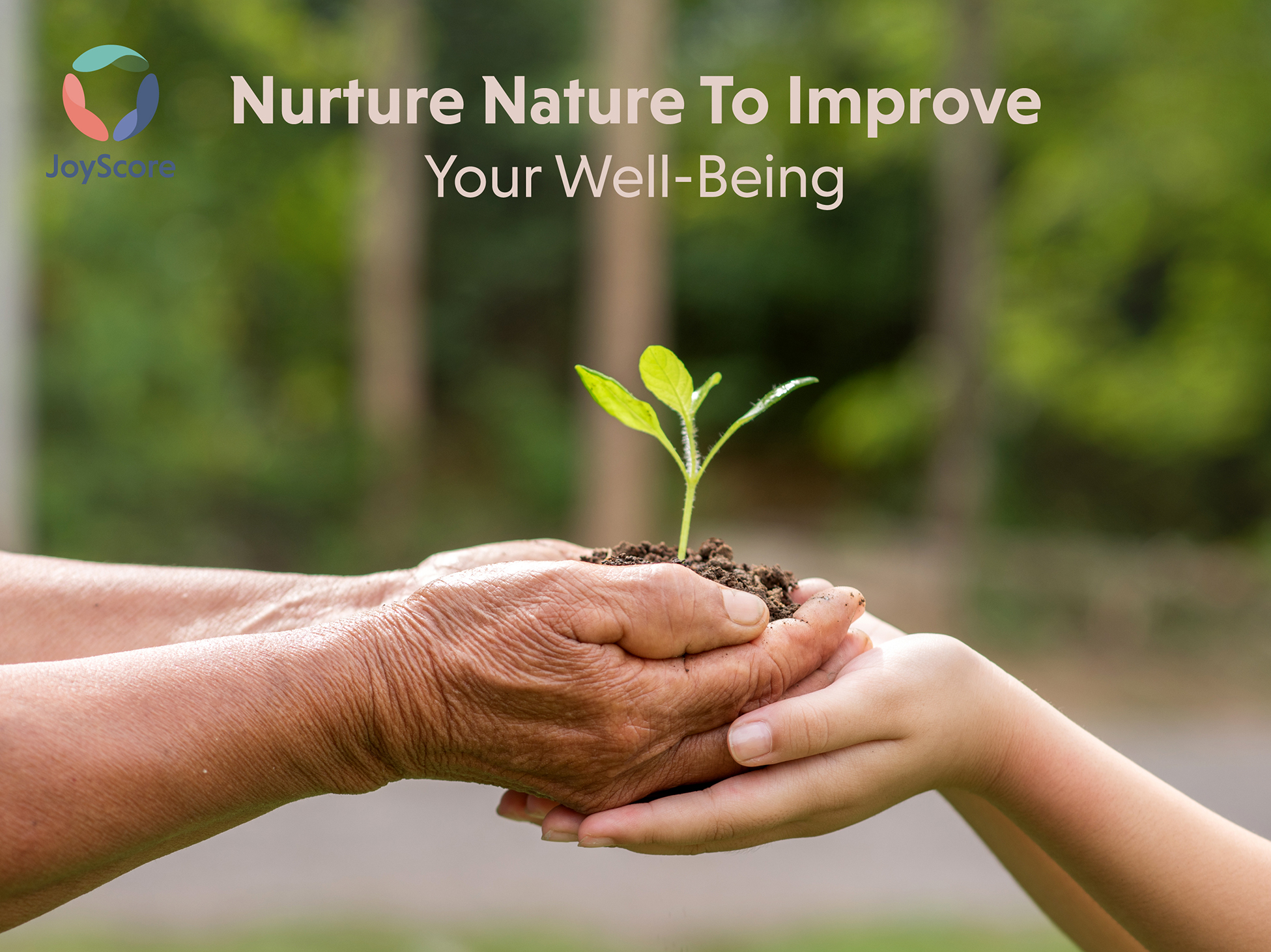 Nurture Nature to Improve your Well-Being