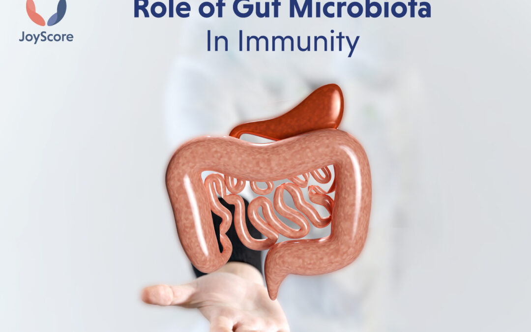 Role of Gut Microbiome in Immunity
