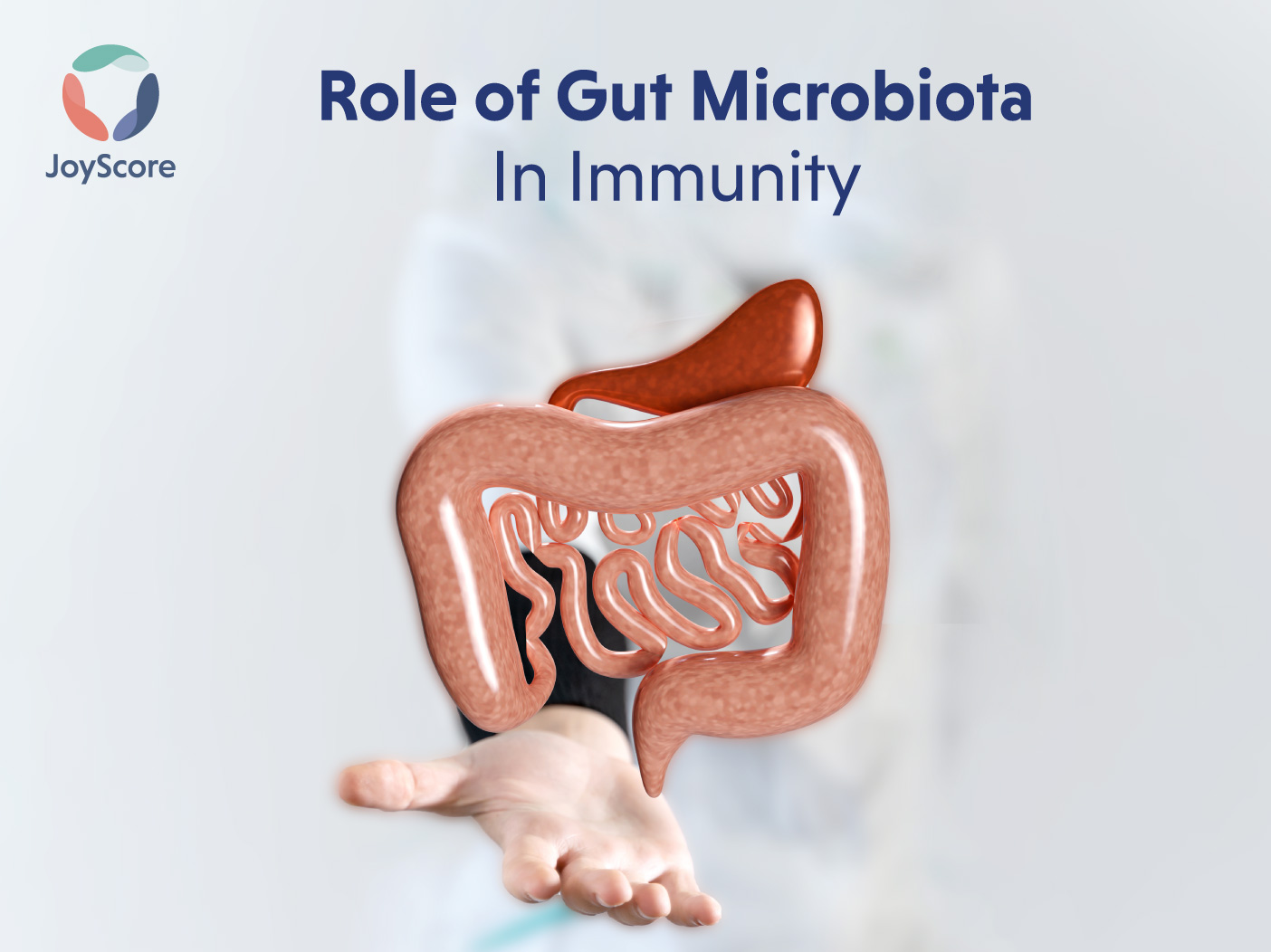 Role of Gut Microbiome in Immunity