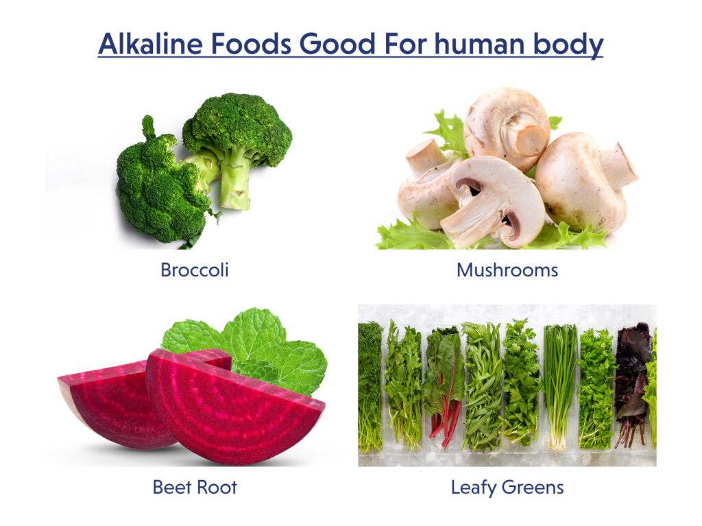 Alkaline foods list