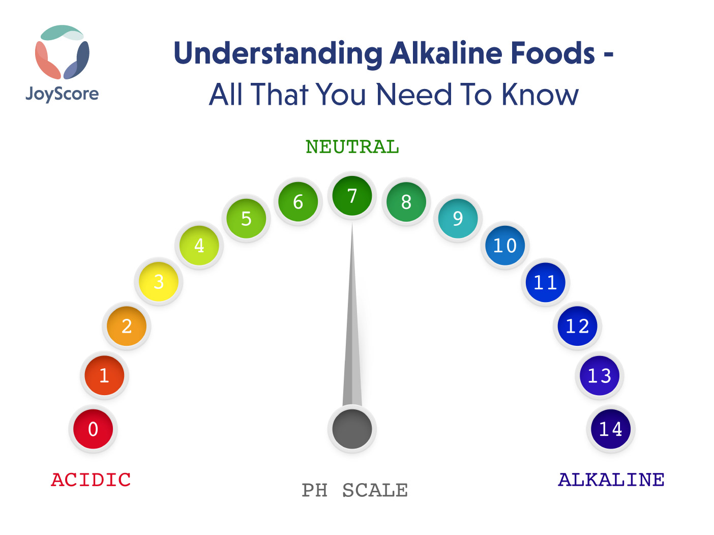 Alkaline Foods List - All That You Need To Know - JoyScore: The Joy Of Self Care