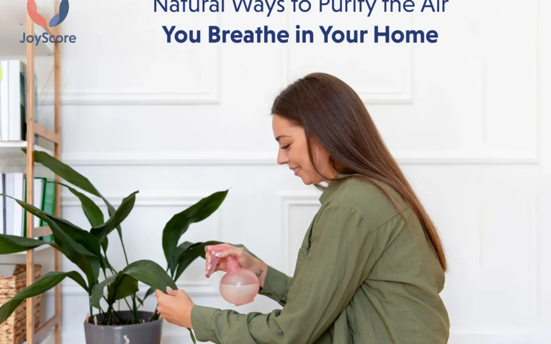 Natural Ways to Purify the Air You Breathe in Your Home