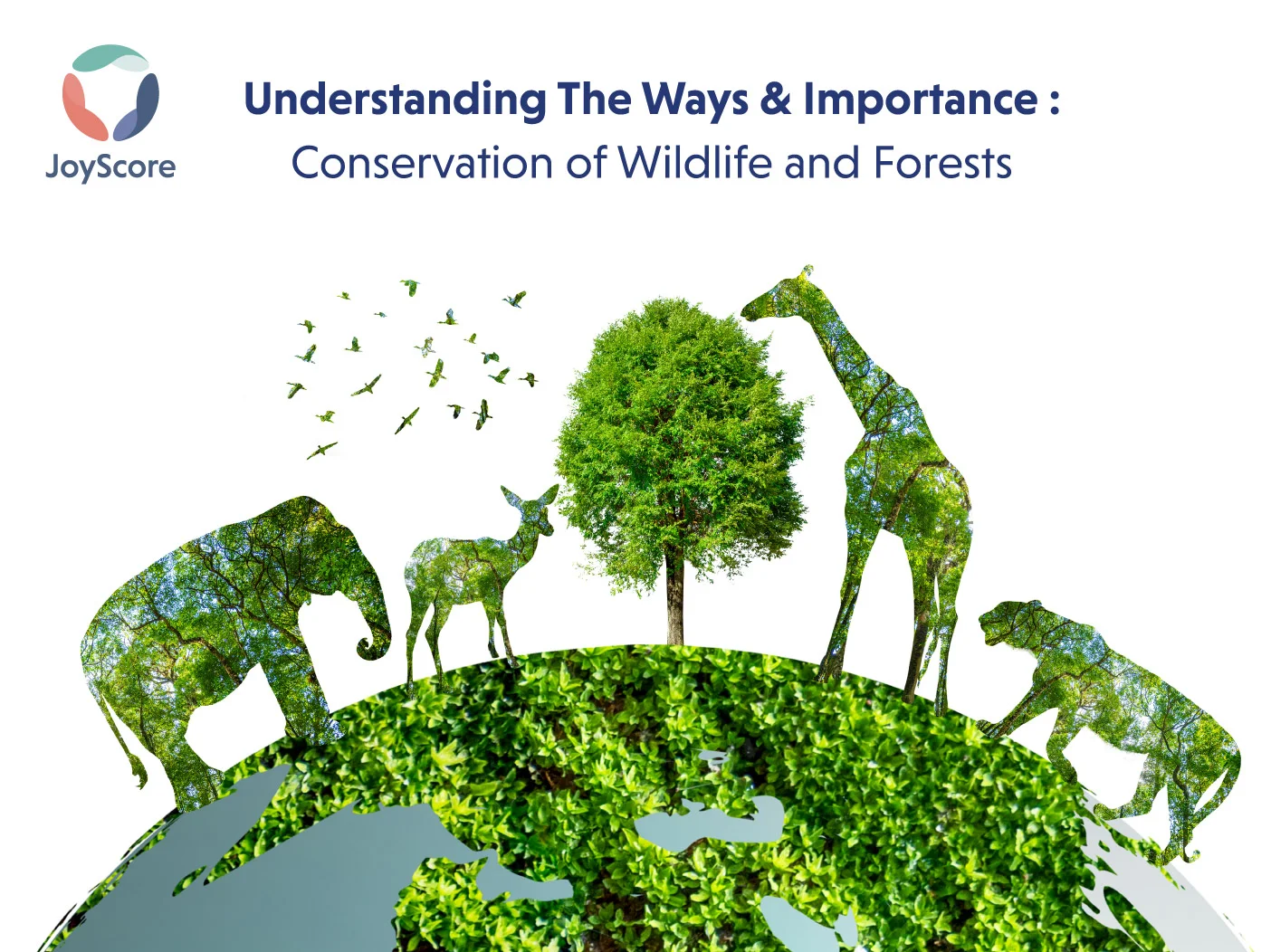 Conservation of Wildlife and Forests
