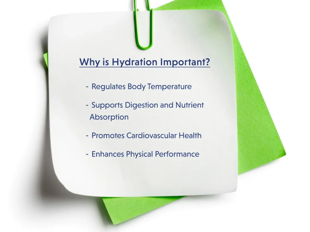 Hydration and Health Importance of Staying Well-ydrated for Overall Wellbeing-02
